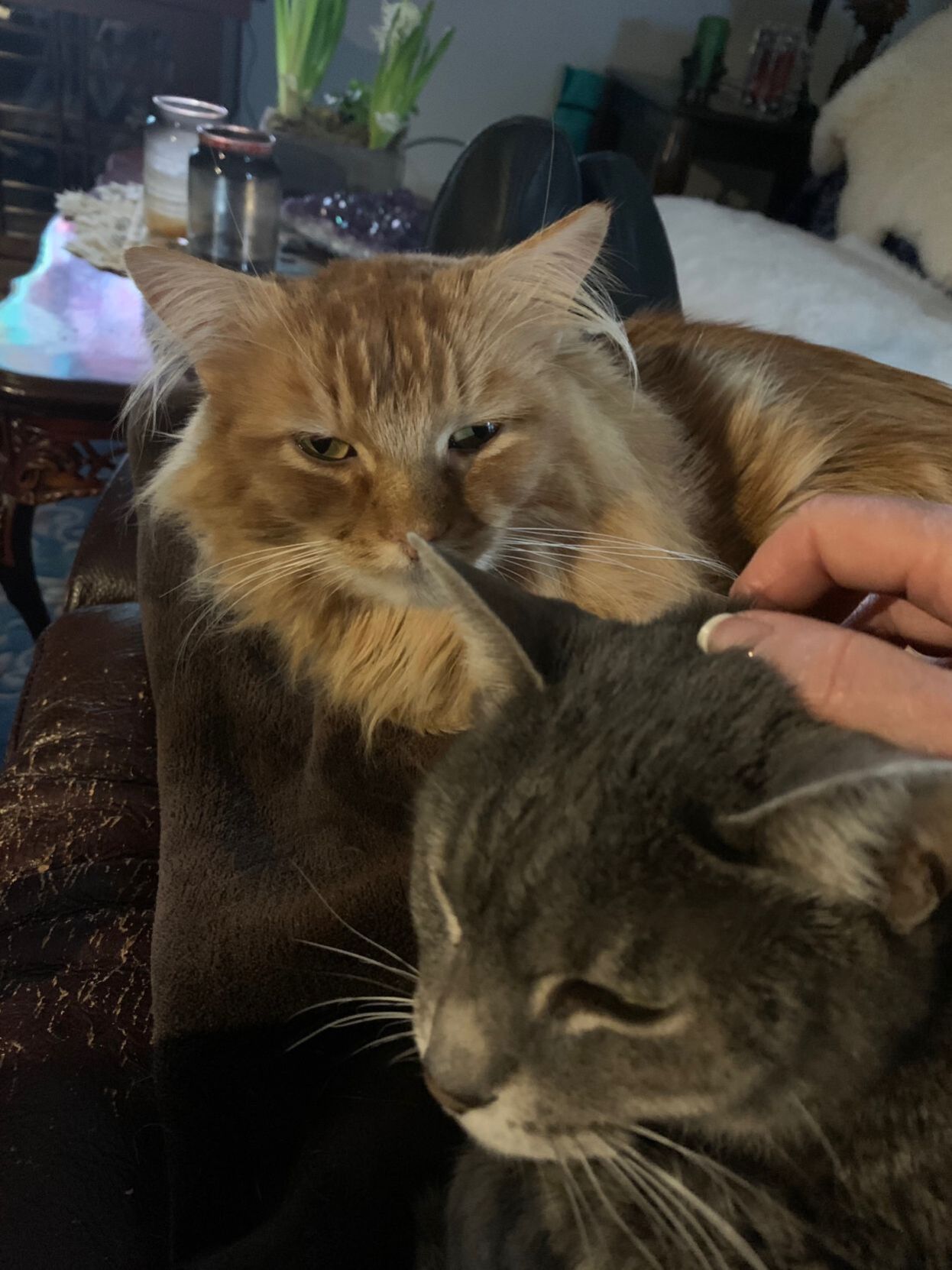Zander & Eliot